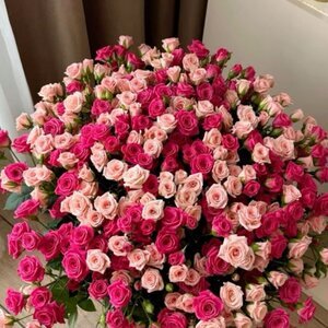 Патя Шабанова