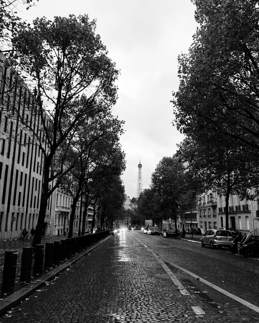 Марина Потехина