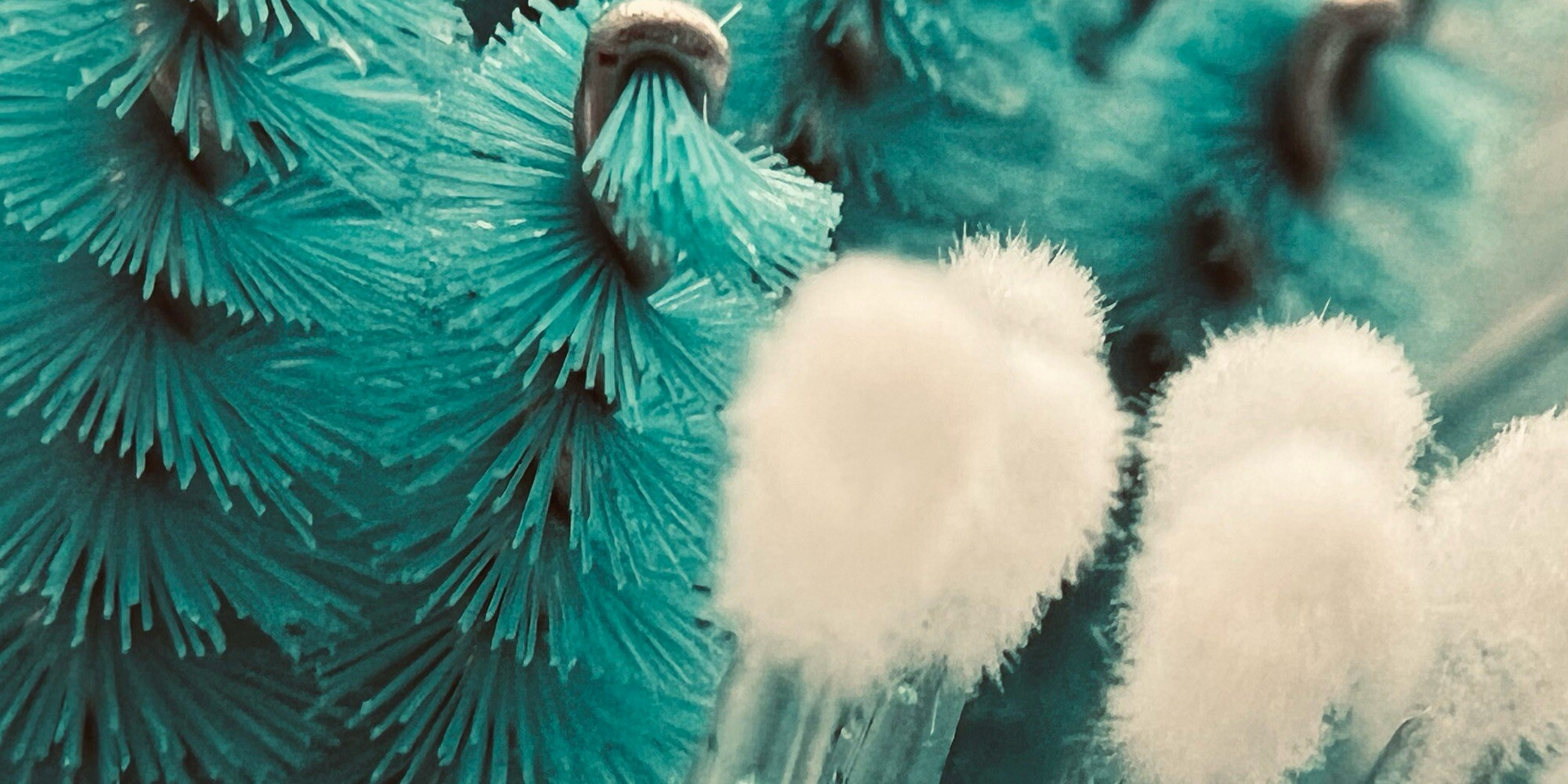 Ольга Любарская