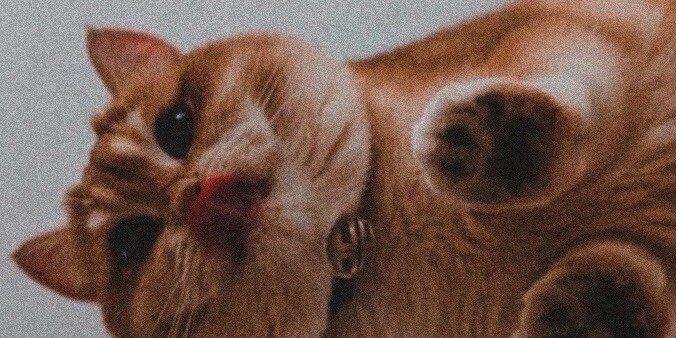 Ангелина Наибова