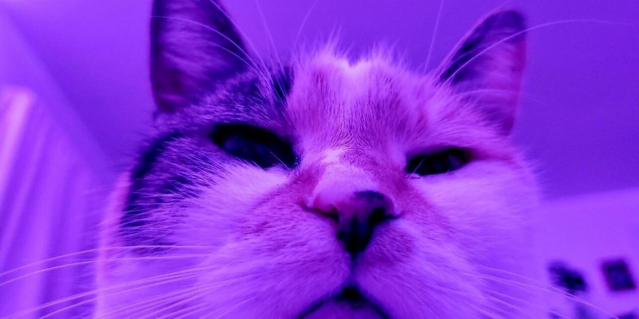 Валентина Тифанова