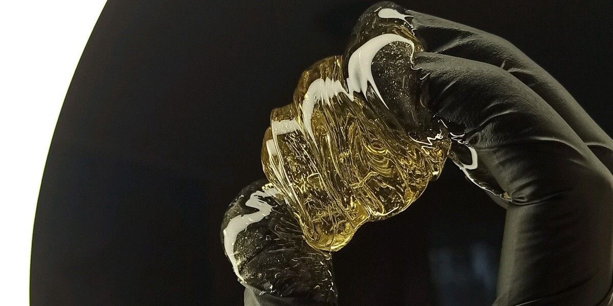 Юлия Пахомова