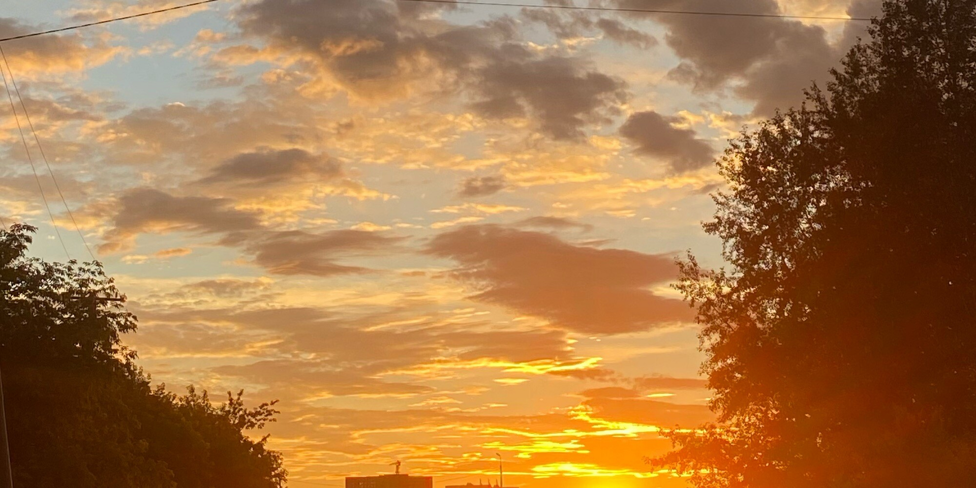 Анжелика Ершова