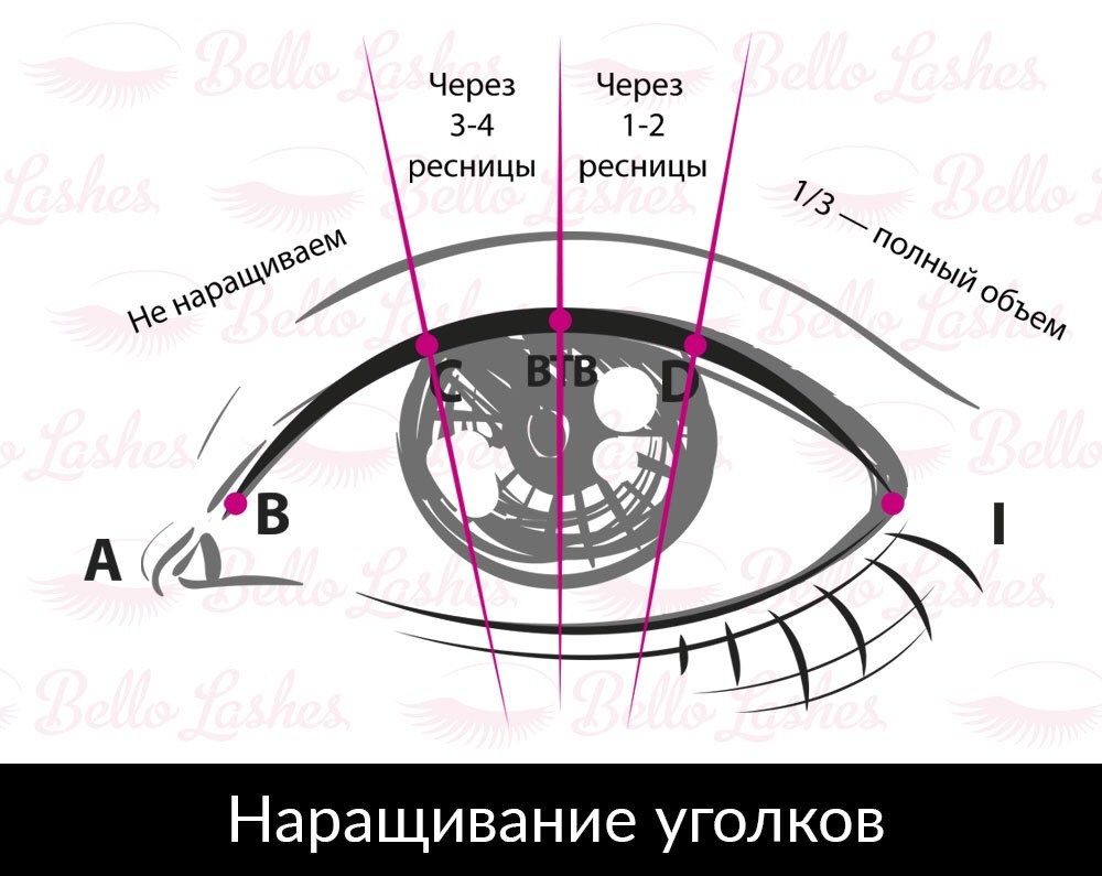 Схема наращивания уголков. Лисий эффект наращивания ресниц схема. Разреженный эффект наращивания ресниц схема. Классическое наращивание ресниц Лисий эффект схема. Кукольно-Лисий эффект наращивание ресниц схема.