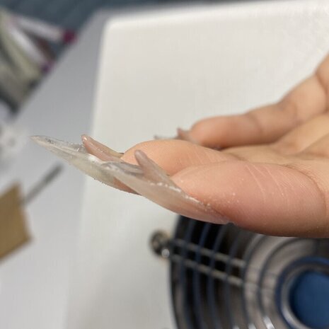 thumb