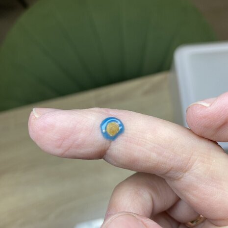 thumb